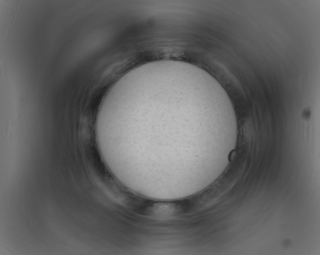 X0000094320218200711241814