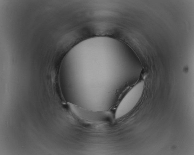 X0000094320219200711241814