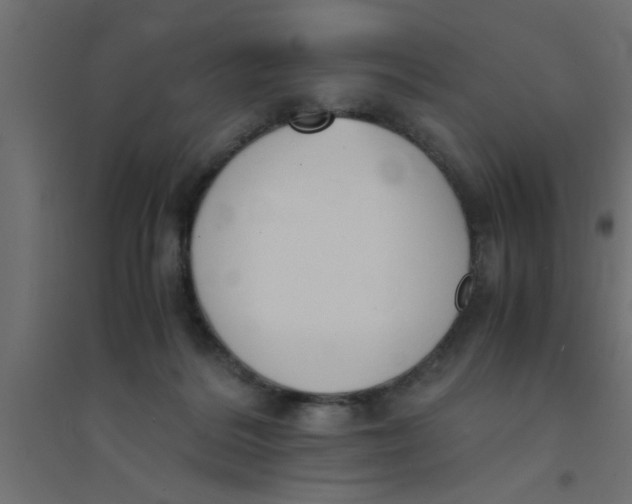 X0000094320220200711241814