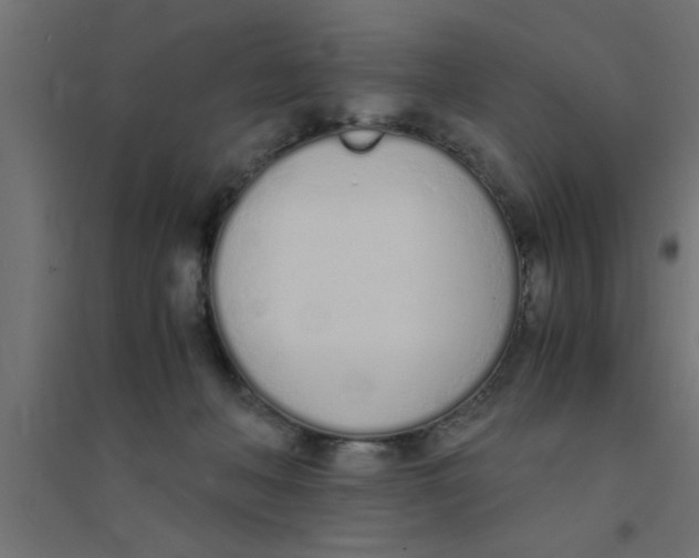 X0000094320222200711241814
