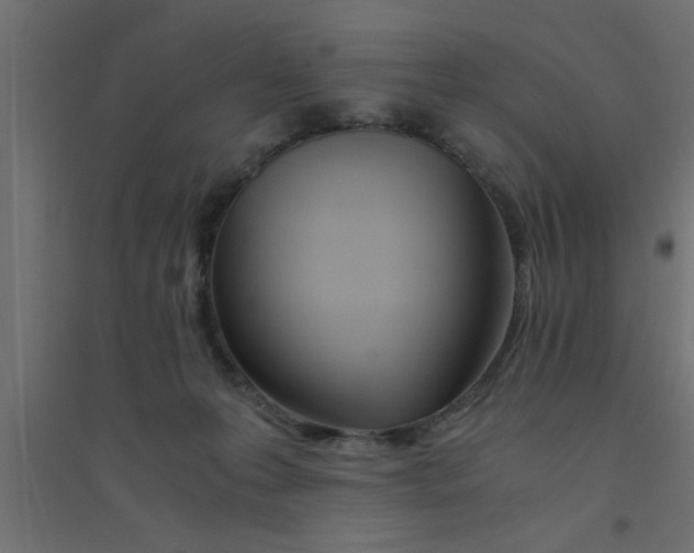 X0000094320223200711241814