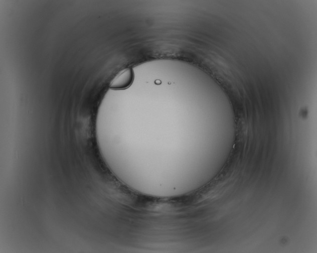 X0000094320224200711241814