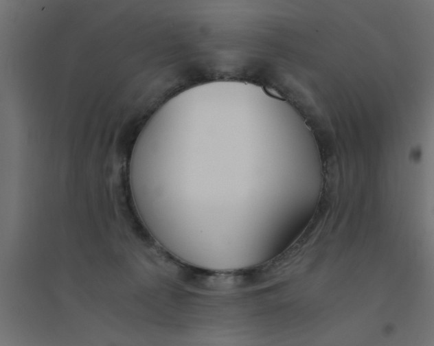 X0000094320225200711241814