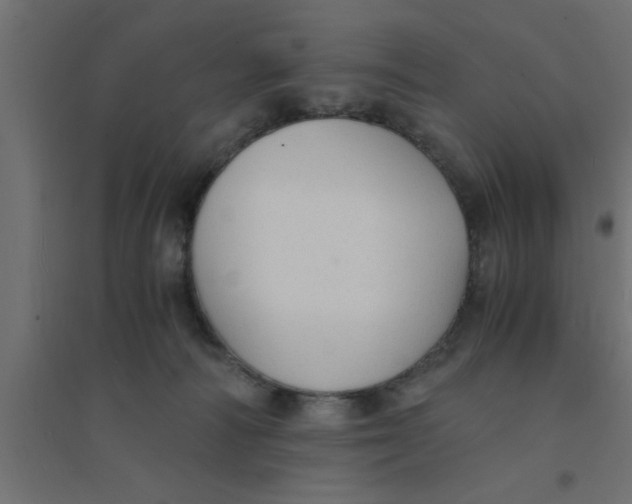 X0000094320226200711241814