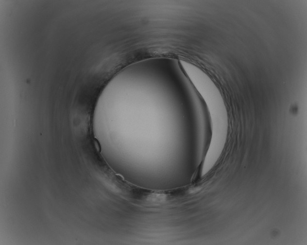 X0000094320227200711241814