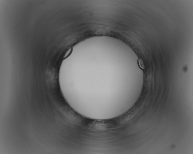 X0000094320228200711241814