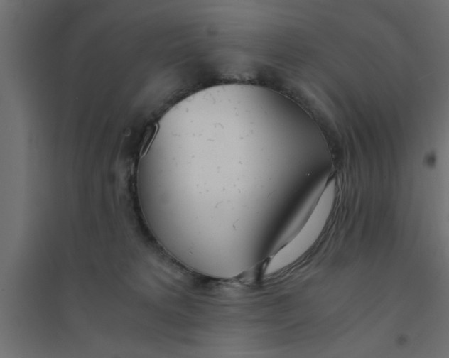 X0000094320229200711241814