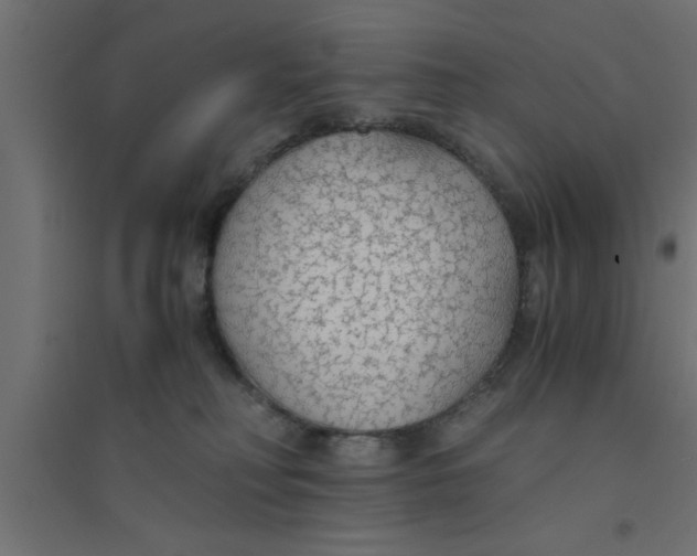 X0000094320230200711241814