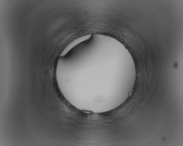 X0000094320231200711241814