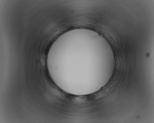 X0000094320232200711241814