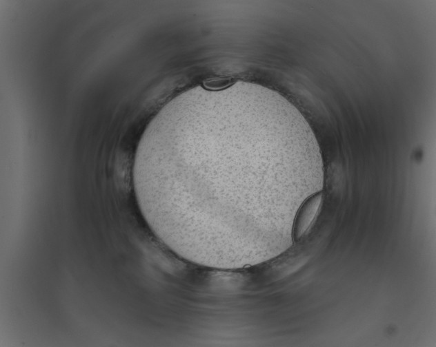 X0000094320234200711241814