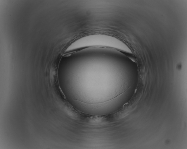 X0000094320235200711241814