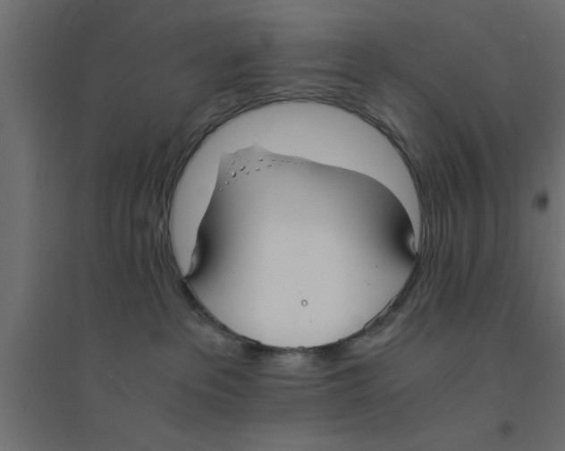 X0000094320237200711241814