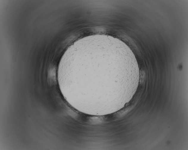 X0000094320238200711241814