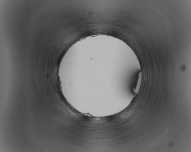 X0000094320239200711241814