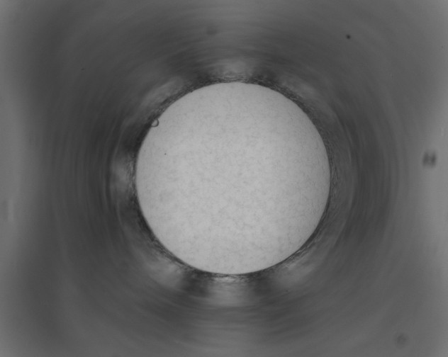 X0000094320240200711241814