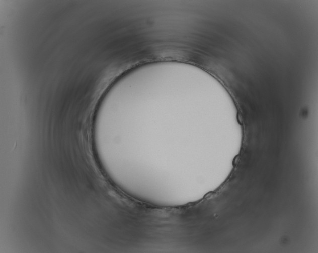 X0000094320241200711241813