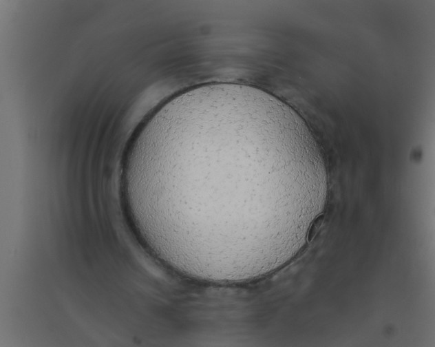 X0000094320242200711241813