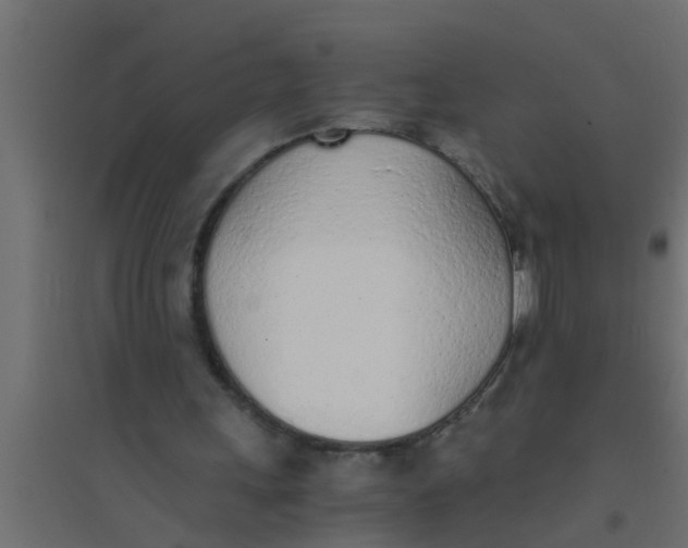 X0000094320243200711241813