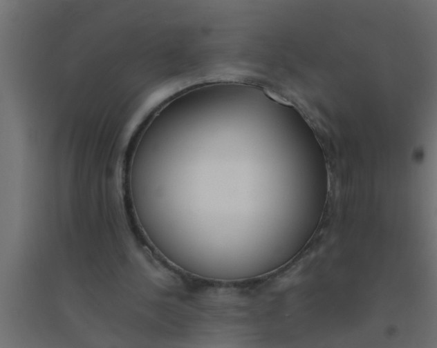 X0000094320244200711241813