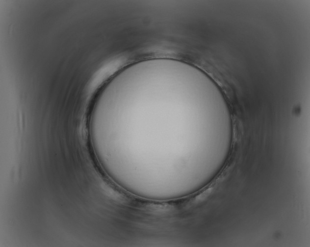 X0000094320245200711241813