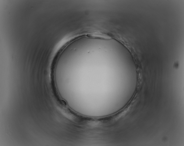 X0000094320246200711241813