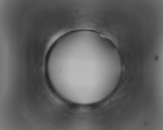 X0000094320248200711241813