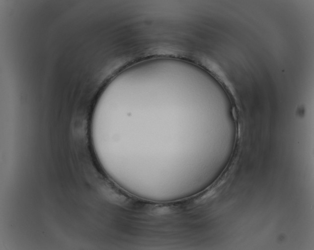 X0000094320249200711241813