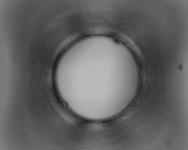 X0000094320250200711241813