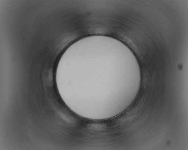 X0000094320251200711241813