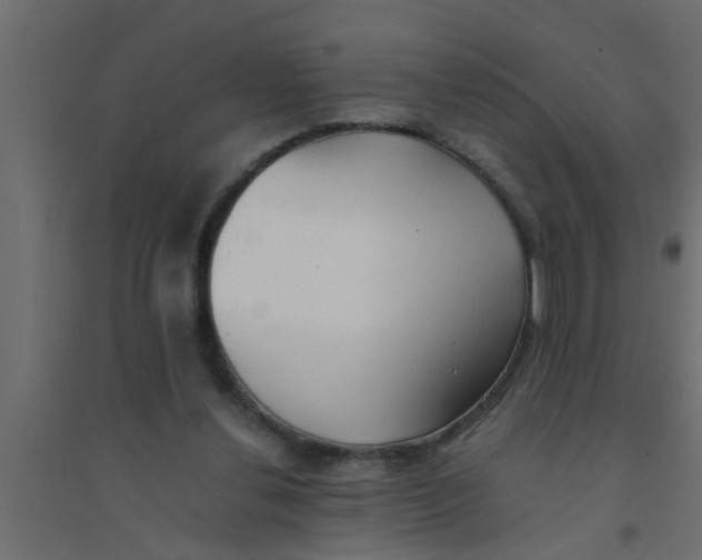 X0000094320252200711241813