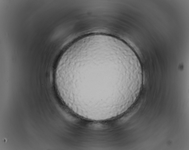 X0000094320253200711241813