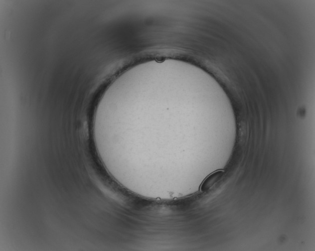 X0000094320254200711241813