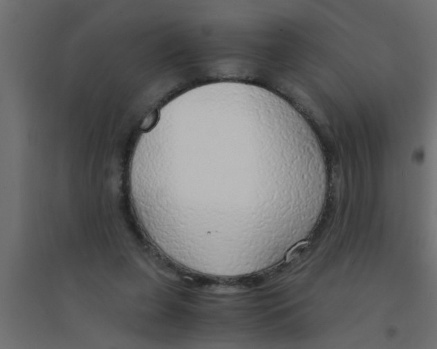 X0000094320255200711241813