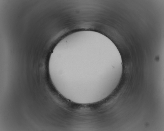 X0000094320256200711241813