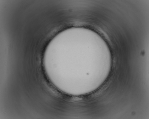 X0000094320257200711241813