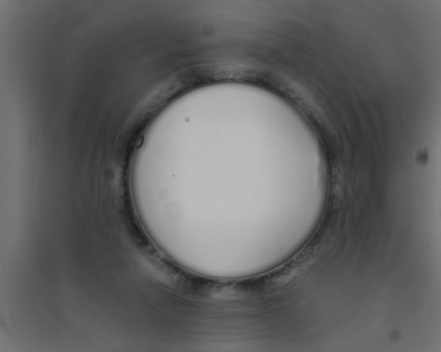 X0000094320258200711241813