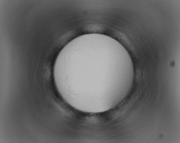 X0000094320259200711241813