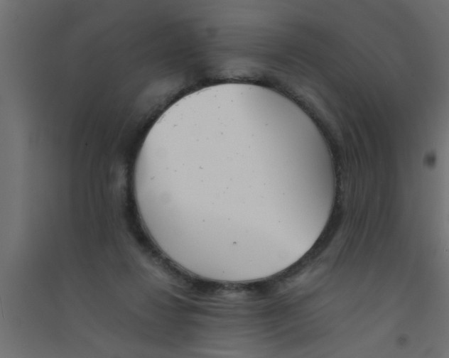 X0000094320260200711241813