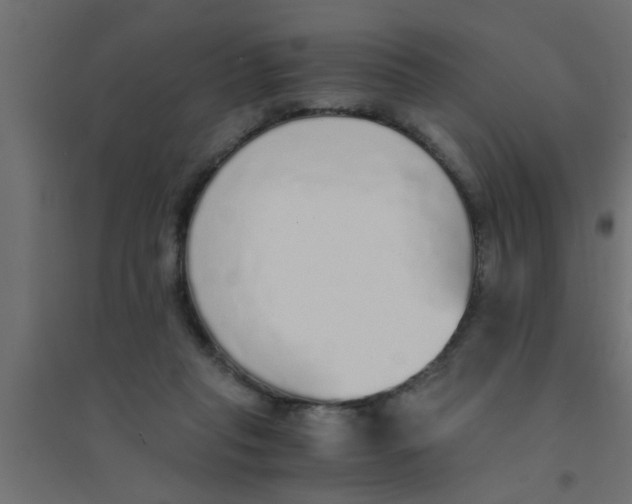 X0000094320261200711241813