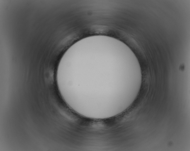 X0000094320262200711241813