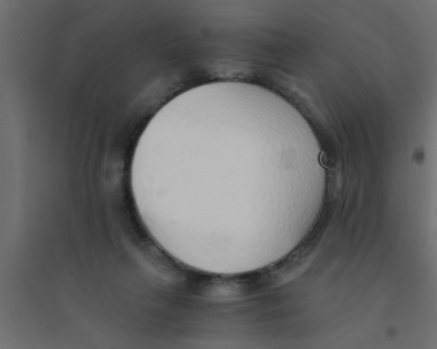X0000094320263200711241813