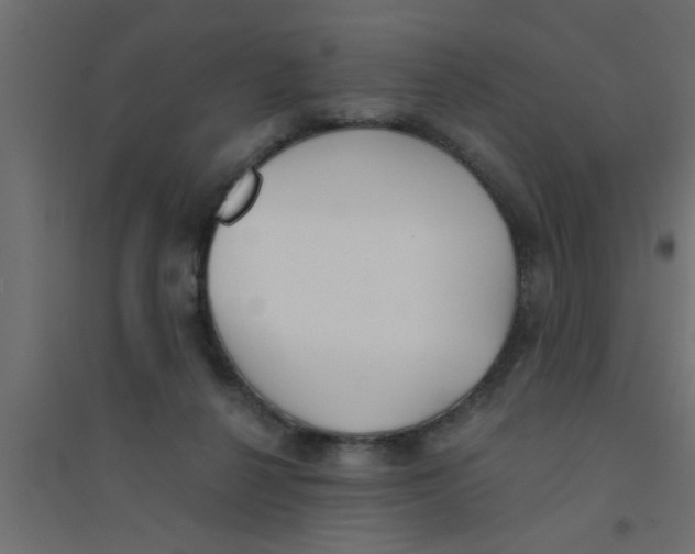 X0000094320264200711241813