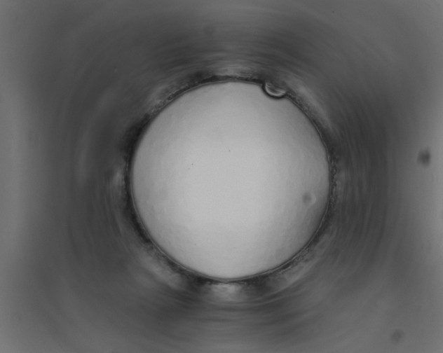 X0000094320265200711241813