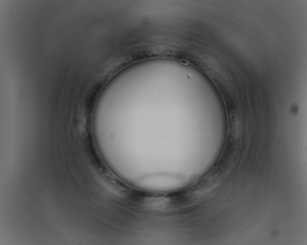 X0000094320266200711241813