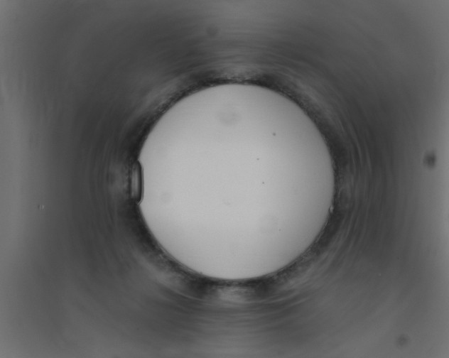 X0000094320268200711241813