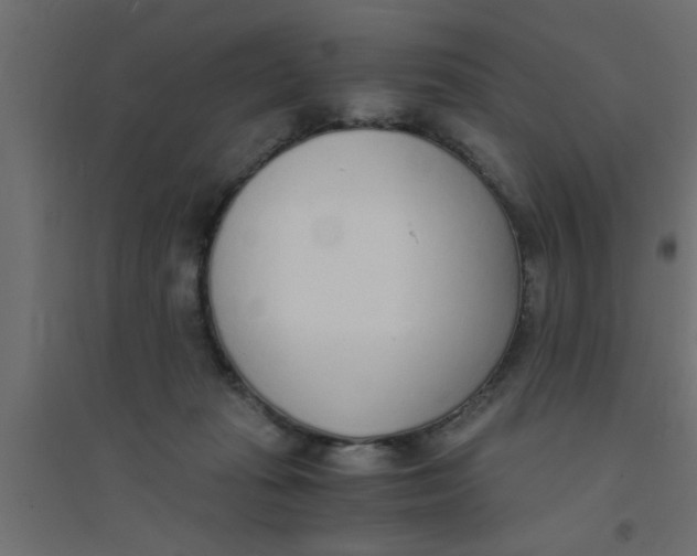 X0000094320269200711241813