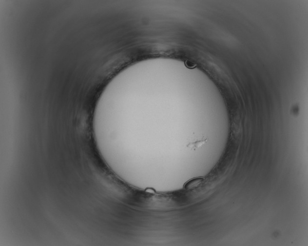 X0000094320270200711241813