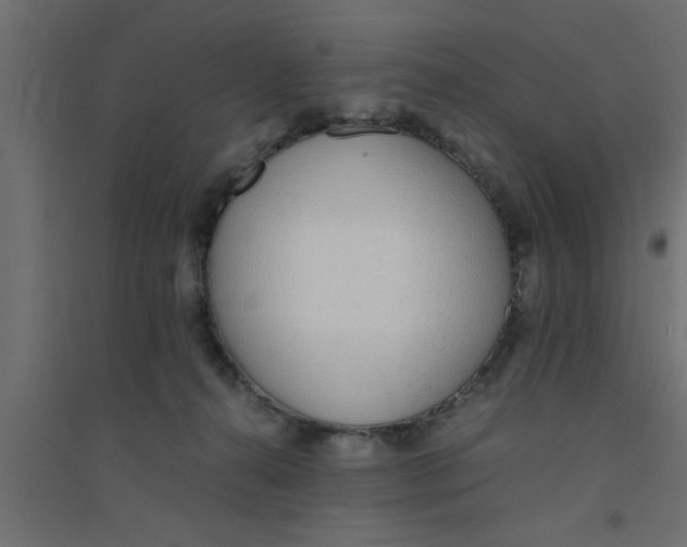 X0000094320272200711241813