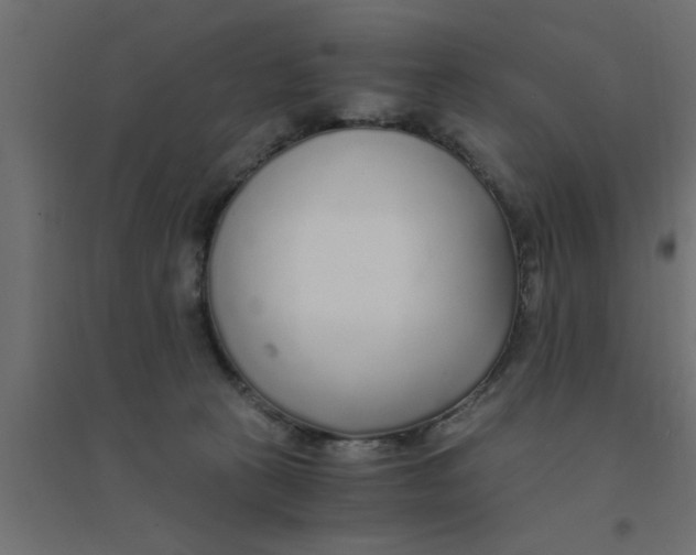 X0000094320273200711241813
